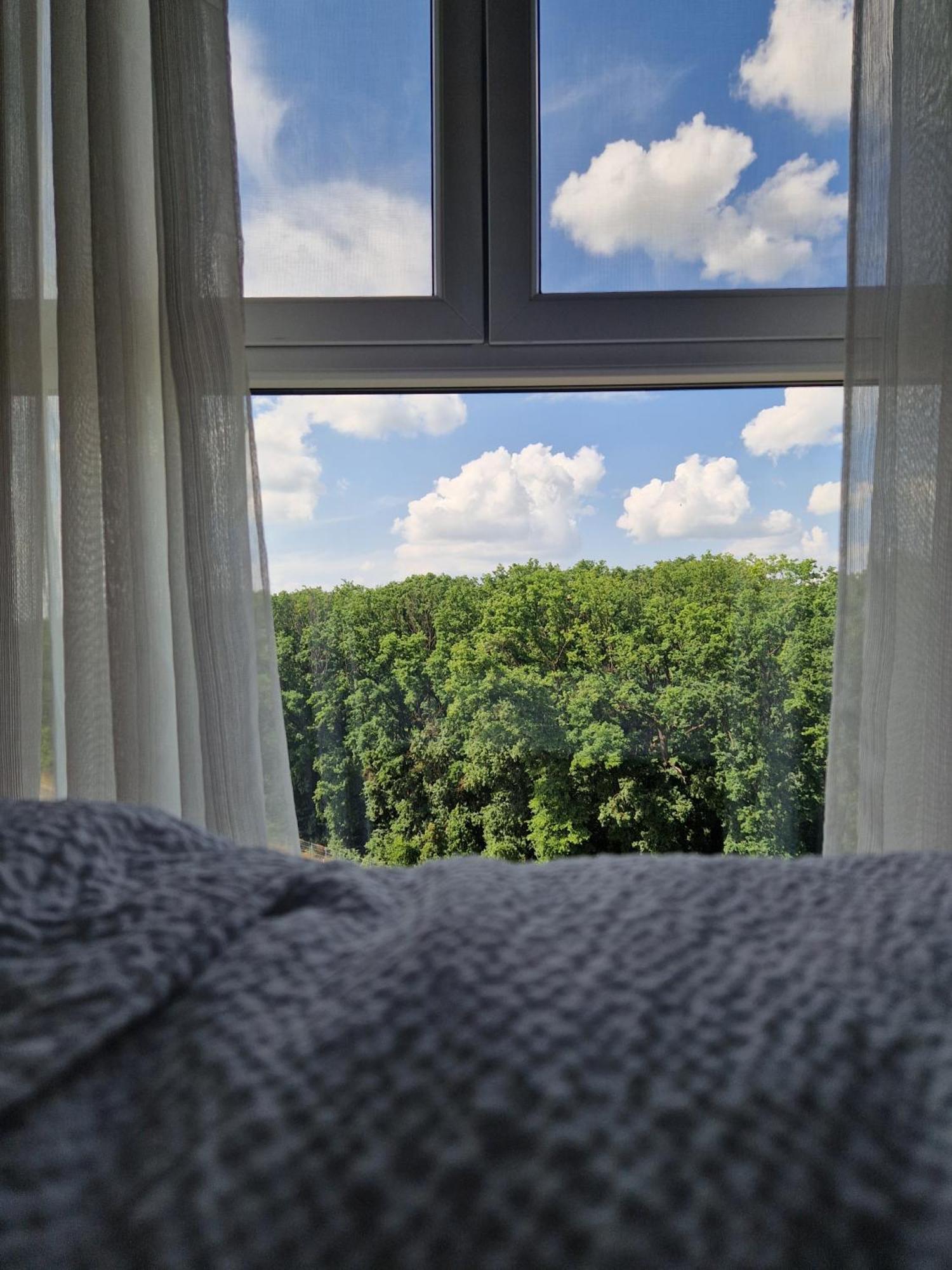Foresthouse 2 Timisoara Bagian luar foto